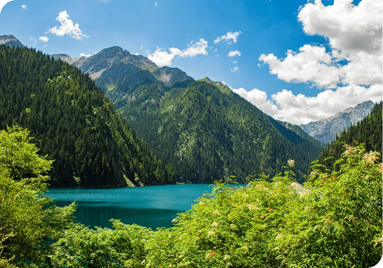 IN THE PRODUCTION PROCESS